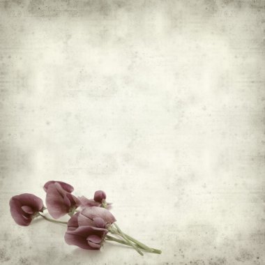 desenli eski kağıt arkaplan  