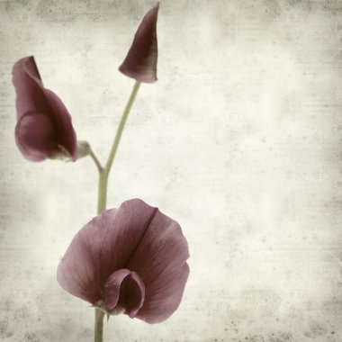 desenli eski kağıt arkaplan  