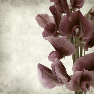 desenli eski kağıt arkaplan  