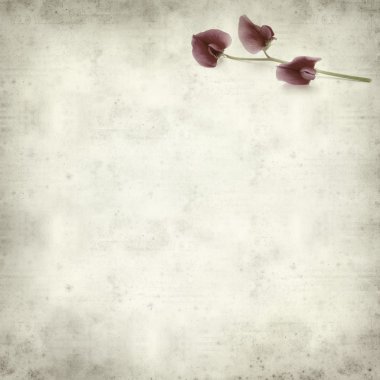 desenli eski kağıt arkaplan  