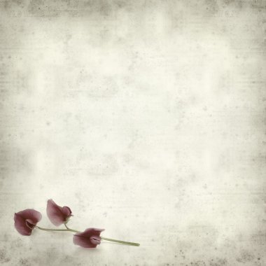 desenli eski kağıt arkaplan  