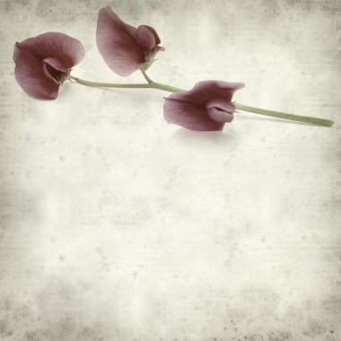 desenli eski kağıt arkaplan  