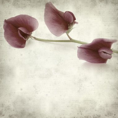 desenli eski kağıt arkaplan  