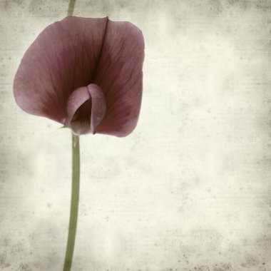 desenli eski kağıt arkaplan  