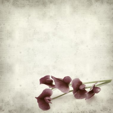 desenli eski kağıt arkaplan  