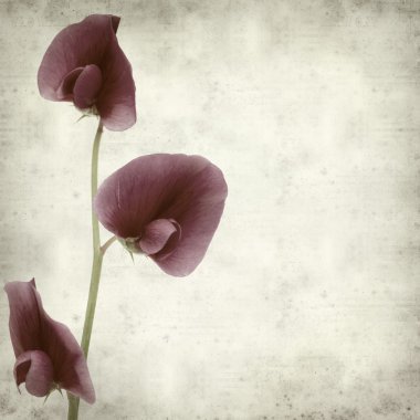 desenli eski kağıt arkaplan  