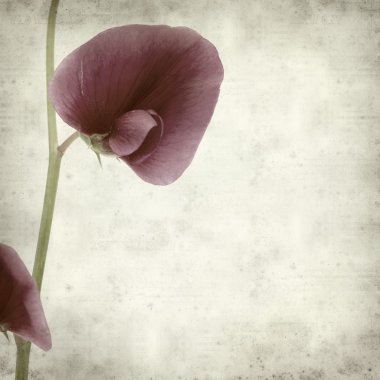 desenli eski kağıt arkaplan  