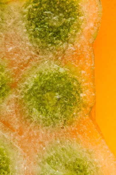 Κατεψυγμένα χλωρίδα冷冻植物区系 — 图库照片