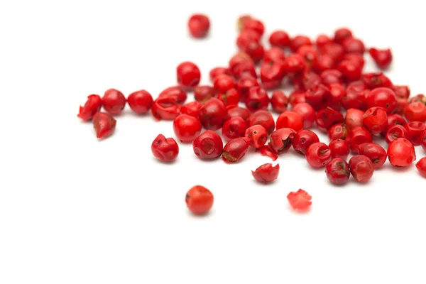 Pink peppercorns — Stock Photo, Image