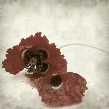 desenli eski kağıt arkaplan  