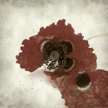 desenli eski kağıt arkaplan  