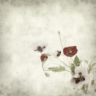 desenli eski kağıt arkaplan  