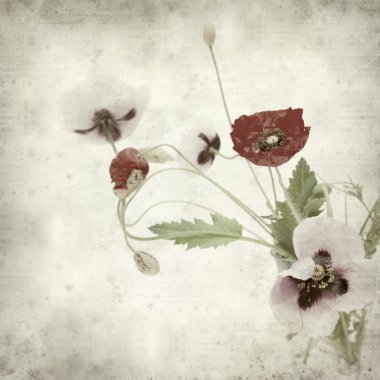 desenli eski kağıt arkaplan  