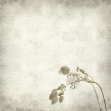 desenli eski kağıt arkaplan  