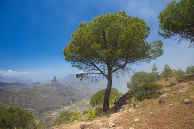 Gran canaria, caldera de tejeda