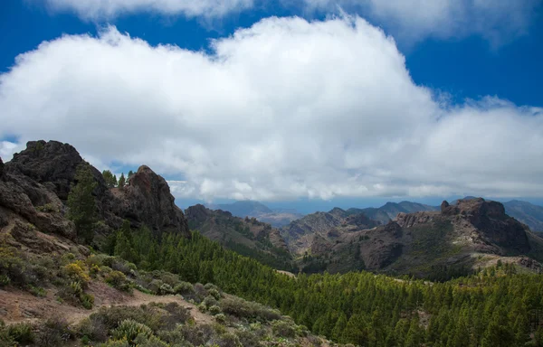 Gran Canaria, Las Cumbres - as zonas mais altas da ilha — Fotografia de Stock