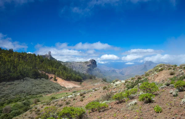 Gran Canaria, Caldera de Tejeda — Stok Foto