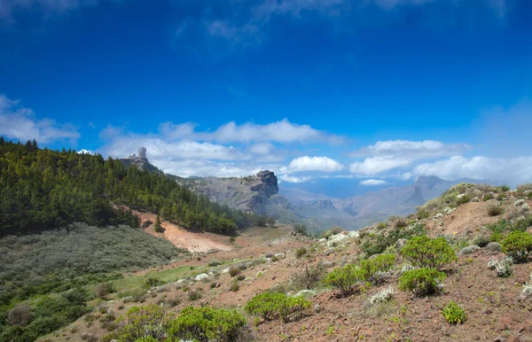 Gran canaria, caldera de tejeda — Stockfoto