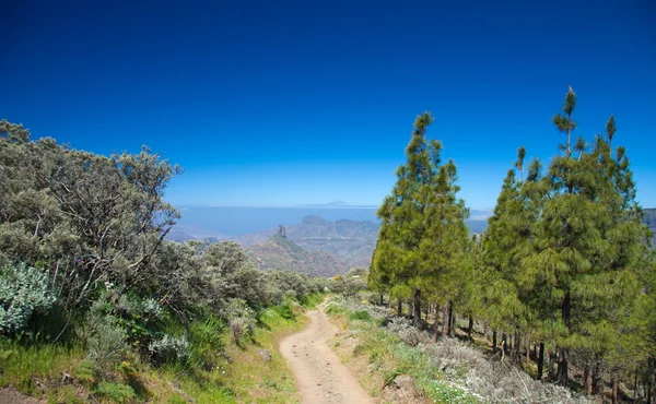 Gran canaria, caldera de tejeda — Foto Stock