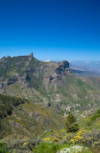 Gran Canaria, Caldera de Tejeda — Stockfoto