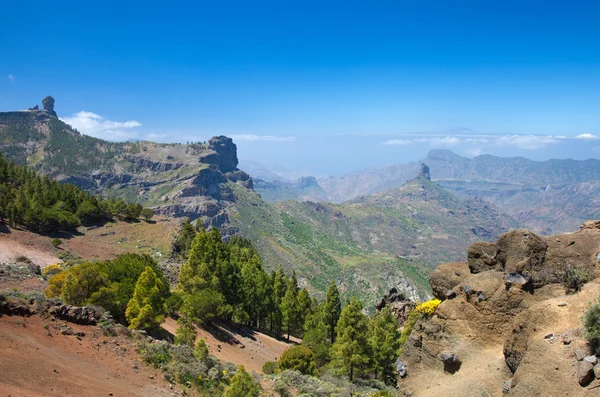 Gran canaria, caldera de tejeda — Stok fotoğraf