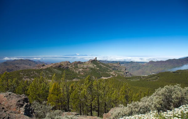 Gran Canaria, Caldera de Tejeda dari Pico de Las Nieves — Stok Foto