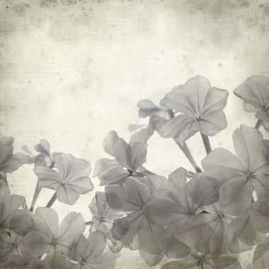 desenli eski kağıt arkaplan