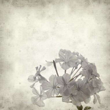 desenli eski kağıt arkaplan