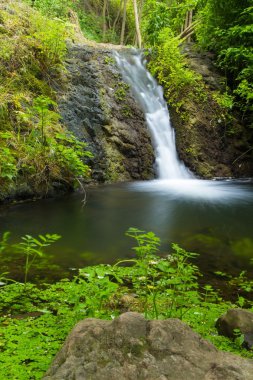 Gran Canaria, Azuaje