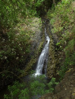 Gran Canaria, Azuaje