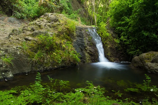 Gran Canaria, Azuaje — Stockfoto