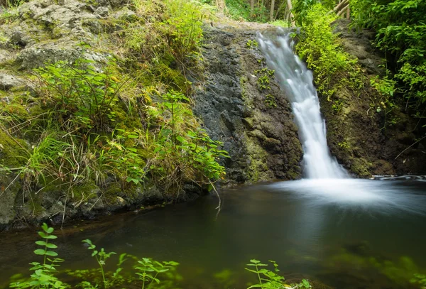 Gran Canaria, Azuaje — Stockfoto