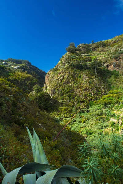Gran Canaria, interior nortern parts, Barranco de Azuaje —  Fotos de Stock