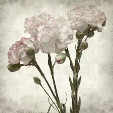 desenli eski kağıt arkaplan