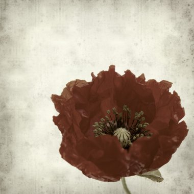 desenli eski kağıt arkaplan  