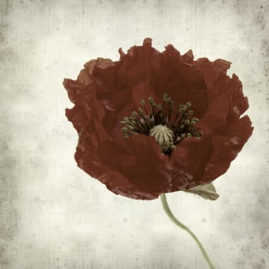 desenli eski kağıt arkaplan  