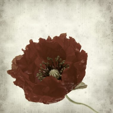 desenli eski kağıt arkaplan  