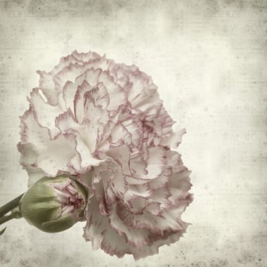 desenli eski kağıt arkaplan