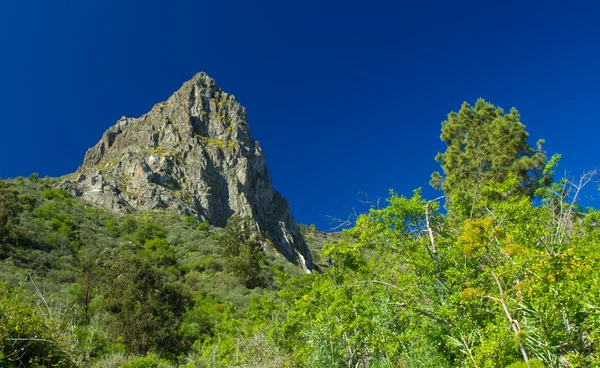 Vnitrozemí Gran Canaria, obec Valsequillo — Stock fotografie