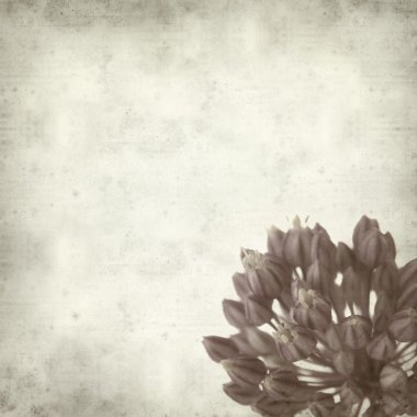 desenli eski kağıt arkaplan  