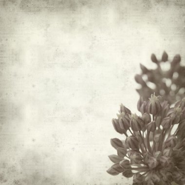 desenli eski kağıt arkaplan  