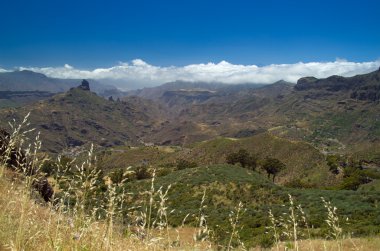 Gran Canaria, Caldera de Tejeda Mayıs ayında