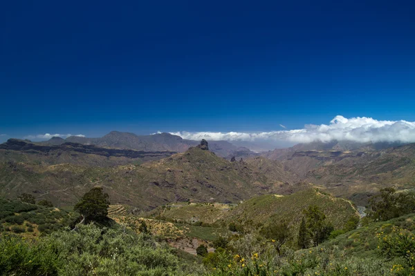 Gran Canaria, Caldera de Tejeda in mei — Stockfoto