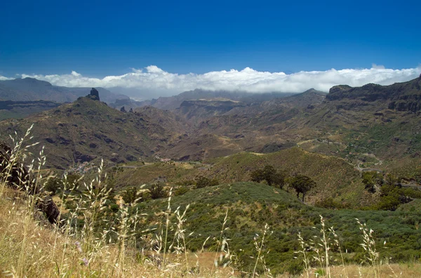 Gran Canaria, Caldera de Tejeda in May — Stock Photo, Image