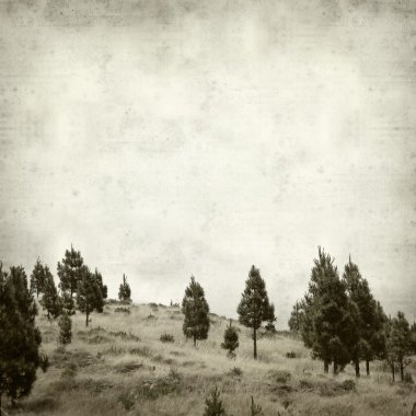 desenli eski kağıt arkaplan  