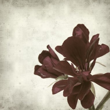 desenli eski kağıt arkaplan  