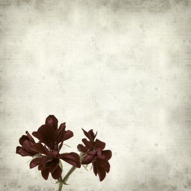 desenli eski kağıt arkaplan  