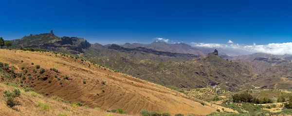 Gran Canaria, Caldera de Tejeda w maju — Zdjęcie stockowe