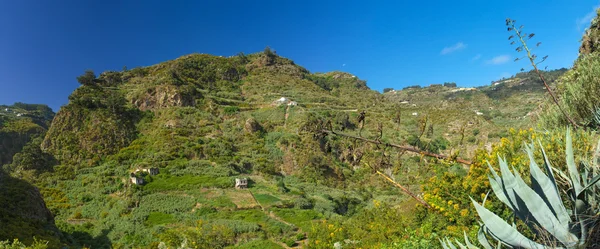 Gran Canaria, Azuaje — Zdjęcie stockowe