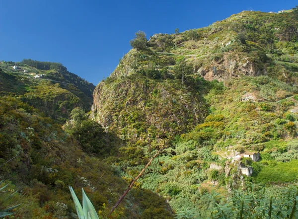 Gran Canaria, Azuaje —  Fotos de Stock